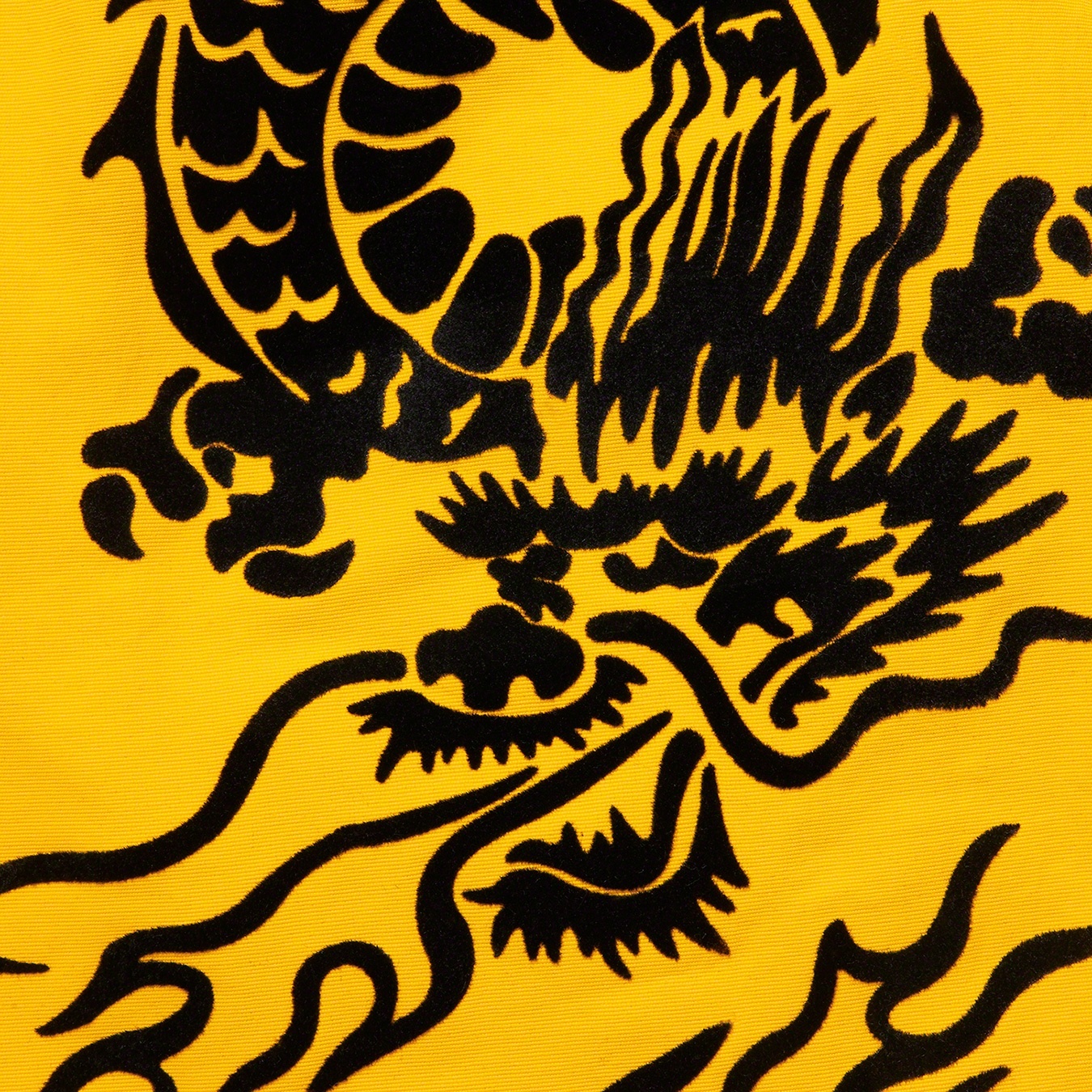 Dragon Water Short view 10